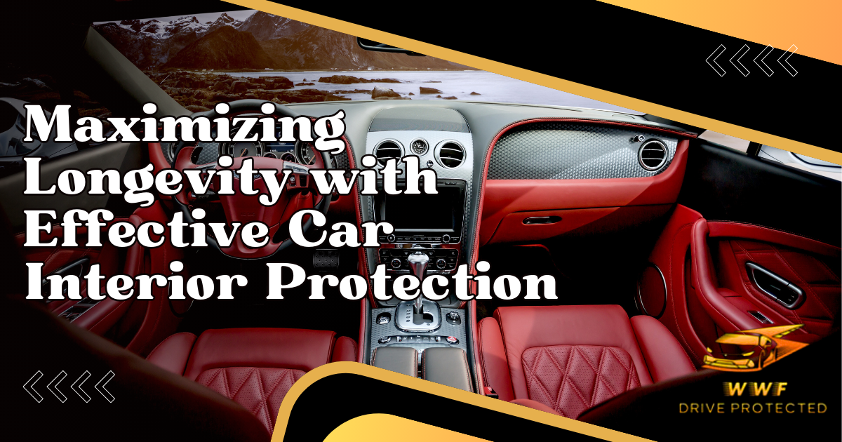 Car Interior Protection